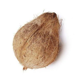 Coconut (each)