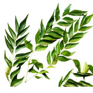 Curry Leaves (Pack)