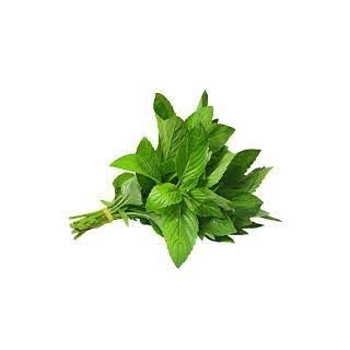 Mint Leaves (Bunch) Pudina