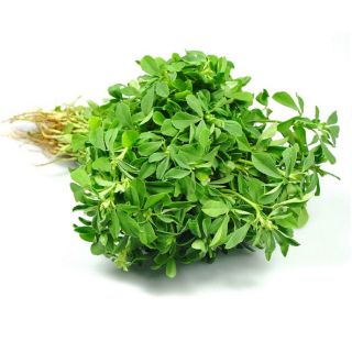 Methi (bunch)