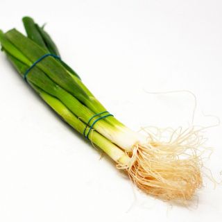 Spring Onion (Bunch)