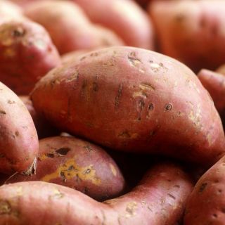 Sweet Potatoes 1Kg